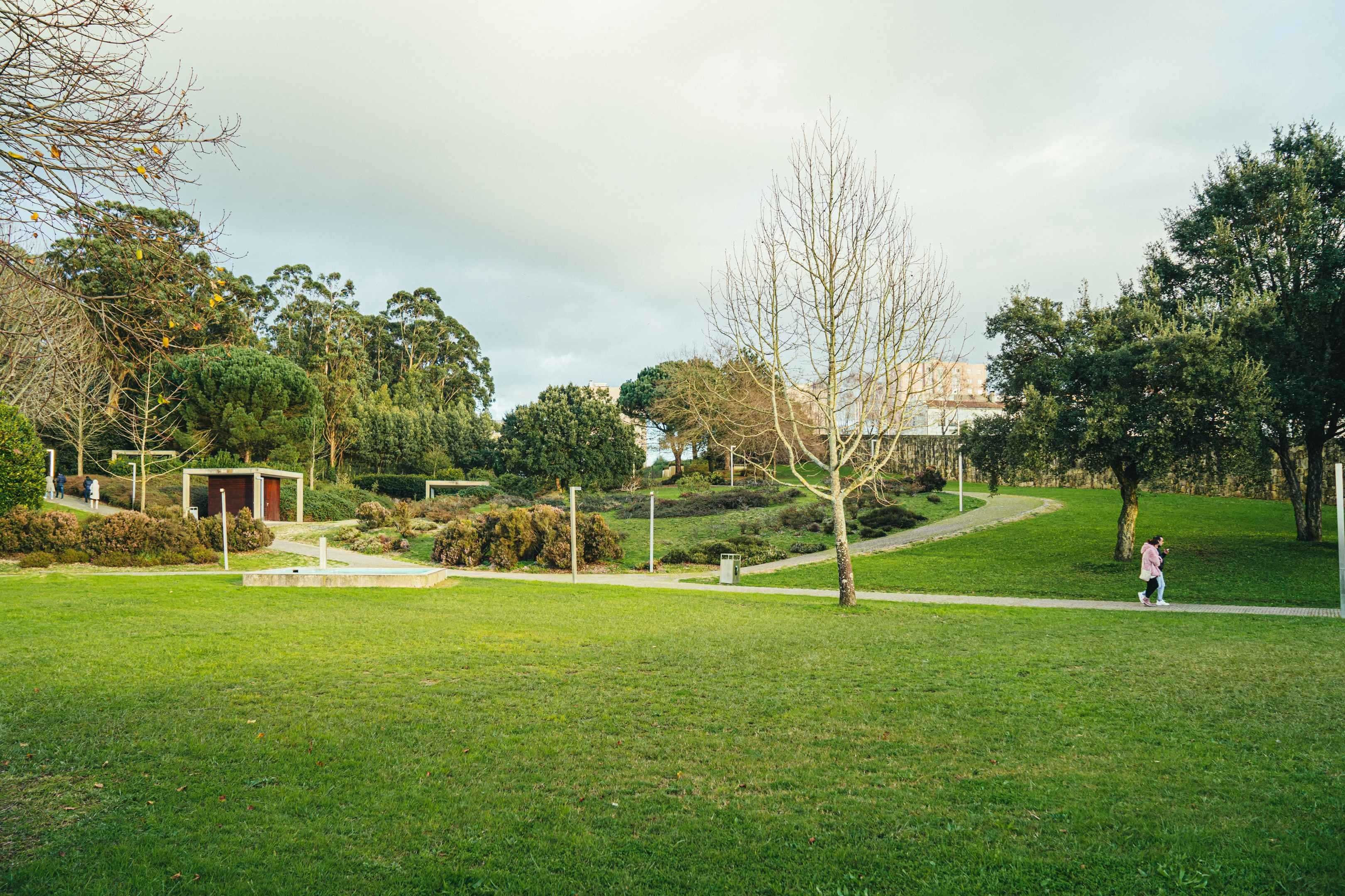 Rota das Árvores e Jardins do Concelho da Maia - 18/10/2025